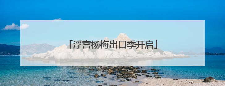 浮宫杨梅出口季开启
