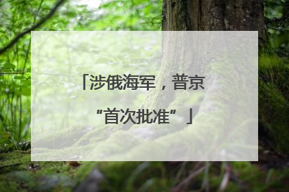 涉俄海军，普京“首次批准”
