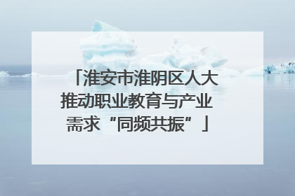 淮安市淮阴区人大推动职业教育与产业需求“同频共振”