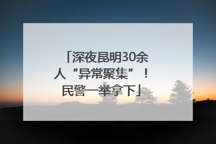 深夜昆明30余人“异常聚集”！民警一举拿下