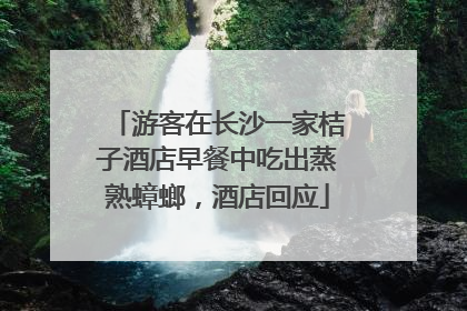 游客在长沙一家桔子酒店早餐中吃出蒸熟蟑螂，酒店回应