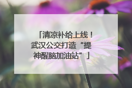 清凉补给上线！武汉公交打造“提神醒脑加油站”