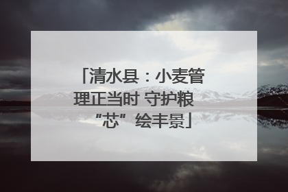 清水县：小麦管理正当时 守护粮“芯”绘丰景