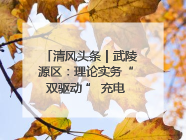 清风头条｜武陵源区：理论实务“双驱动 ” 充电赋能“增才干”