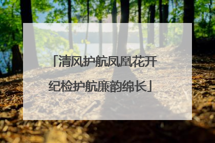 清风护航凤凰花开 纪检护航廉韵绵长