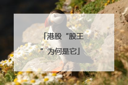 港股“股王”为何是它