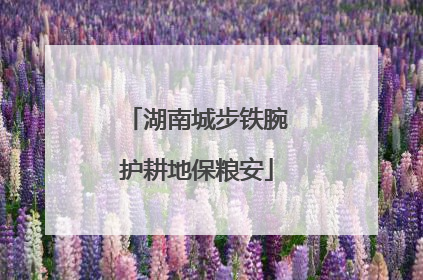 湖南城步铁腕护耕地保粮安