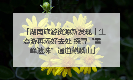 湖南旅游资源新发现丨生态游再添好去处 探寻“雪峰遗珠”通道麒麟山