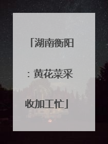 湖南衡阳：黄花菜采收加工忙