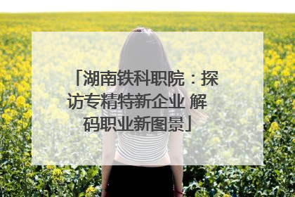 湖南铁科职院：探访专精特新企业 解码职业新图景