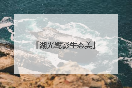 湖光鹭影生态美