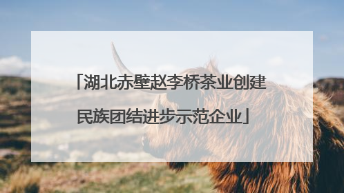 湖北赤壁赵李桥茶业创建民族团结进步示范企业