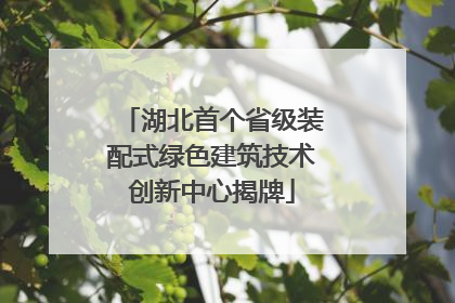 湖北首个省级装配式绿色建筑技术创新中心揭牌