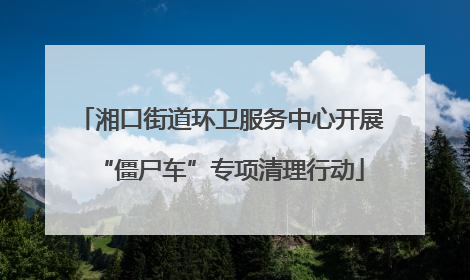 湘口街道环卫服务中心开展“僵尸车”专项清理行动