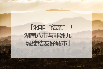湘非“结亲”！湖南八市与非洲九城缔结友好城市