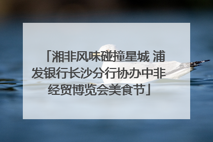 湘非风味碰撞星城 浦发银行长沙分行协办中非经贸博览会美食节