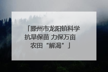 滕州市龙阳镇科学抗旱保苗 力保万亩农田“解渴”