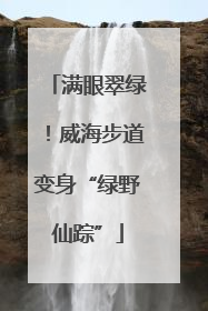 满眼翠绿！威海步道变身“绿野仙踪”