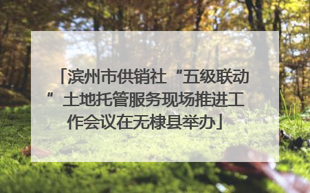 滨州市供销社“五级联动”土地托管服务现场推进工作会议在无棣县举办