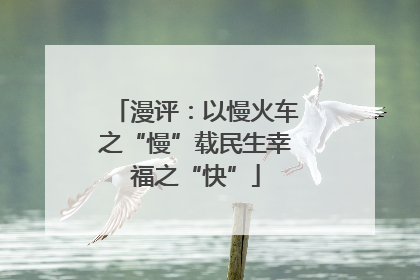 漫评：以慢火车之“慢”载民生幸福之“快”