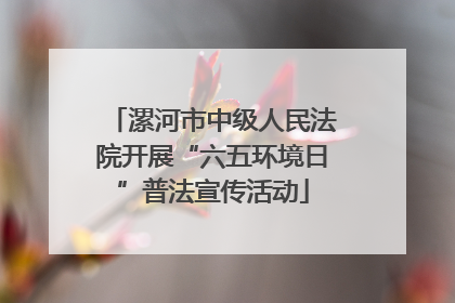 漯河市中级人民法院开展“六五环境日”普法宣传活动