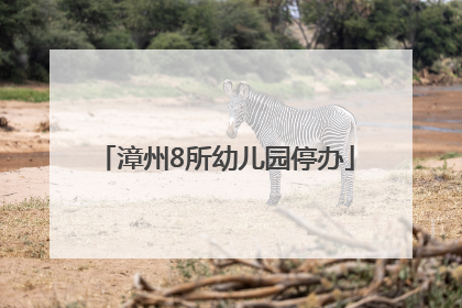 漳州8所幼儿园停办