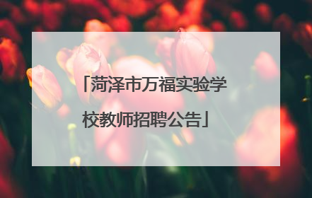 菏泽市万福实验学校教师招聘公告