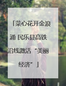 菜心花开金浪涌 民乐县高铁沿线激活“美丽经济”