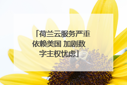 荷兰云服务严重依赖美国 加剧数字主权忧虑