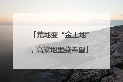 荒地变“金土地”，高粱地里藏希望