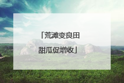 荒滩变良田 甜瓜促增收
