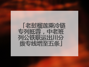 老挝榴莲乘冷链专列抵蓉，中老班列公铁联运出川分拨专线增至五条