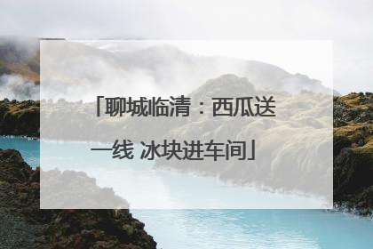 聊城临清：西瓜送一线 冰块进车间