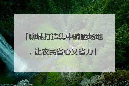 聊城打造集中晾晒场地，让农民省心又省力