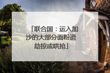 联合国：运入加沙的大部分面粉遭劫掠或哄抢