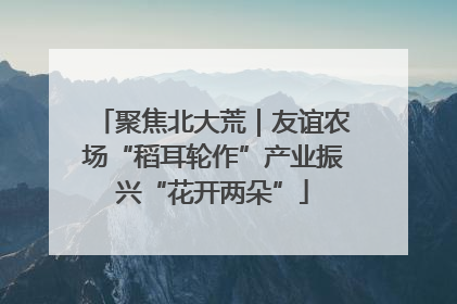 聚焦北大荒｜友谊农场“稻耳轮作”产业振兴“花开两朵”