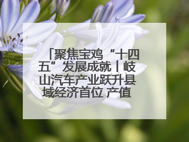 聚焦宝鸡“十四五”发展成就丨岐山汽车产业跃升县域经济首位 产值突破205亿 占规上工业75%