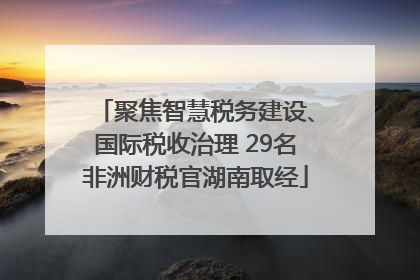 聚焦智慧税务建设、国际税收治理 29名非洲财税官湖南取经
