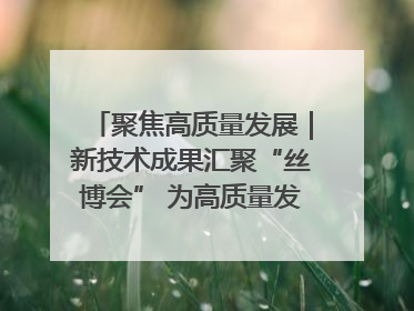 聚焦高质量发展｜新技术成果汇聚“丝博会” 为高质量发展注入新动能