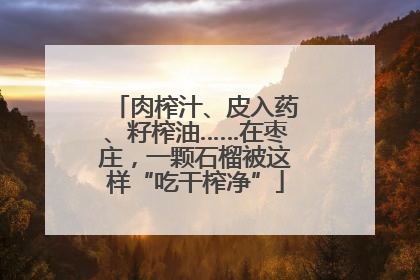 肉榨汁、皮入药、籽榨油……在枣庄，一颗石榴被这样“吃干榨净”