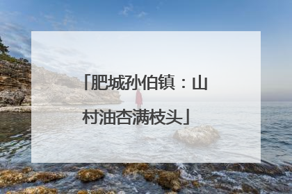 肥城孙伯镇：山村油杏满枝头