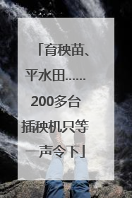 育秧苗、平水田……200多台插秧机只等一声令下