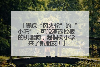 脚踩“风火轮”的“小吒”，可脱离遥控板的机器狗，泡桐树小学来了新朋友！
