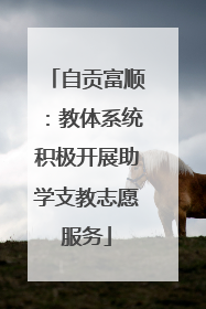 自贡富顺：教体系统积极开展助学支教志愿服务
