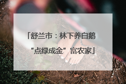 舒兰市：林下养白鹅 “点绿成金”富农家