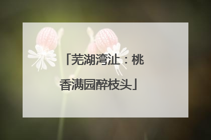 芜湖湾沚：桃香满园醉枝头
