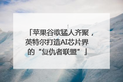 苹果谷歌猛人齐聚，英特尔打造AI芯片界的“复仇者联盟”