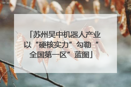 苏州吴中机器人产业以“硬核实力”勾勒“全国第一区”蓝图
