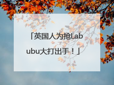 英国人为抢Labubu大打出手！
