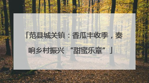 范县城关镇：香瓜丰收季，奏响乡村振兴 “甜蜜乐章”
